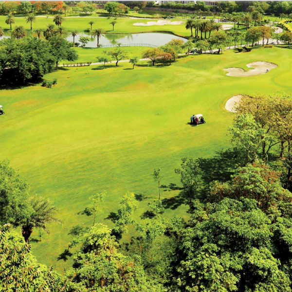 the island by gaurs inside